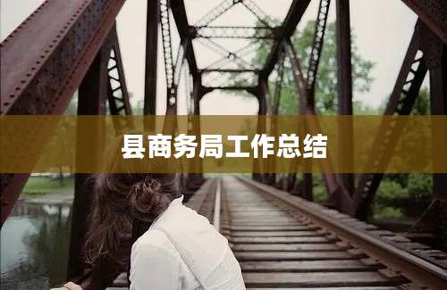 县商务局工作总结