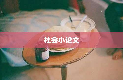 社会小论文