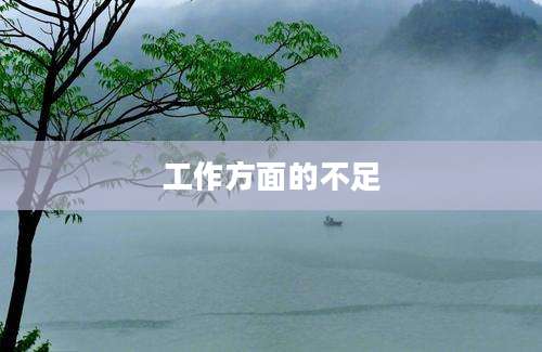 工作方面的不足