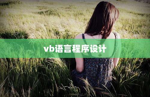 vb语言程序设计