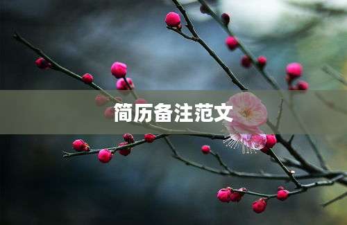 简历备注范文