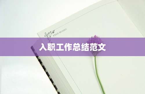 入职工作总结范文
