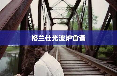 格兰仕光波炉食谱