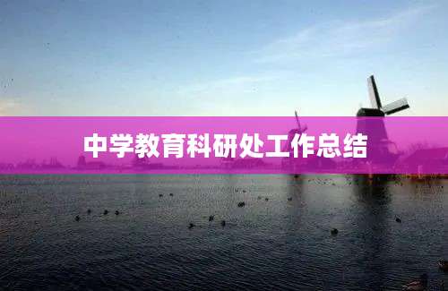 中学教育科研处工作总结
