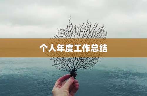 个人年度工作总结
