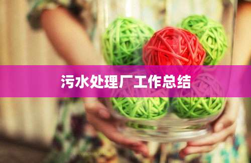 污水处理厂工作总结