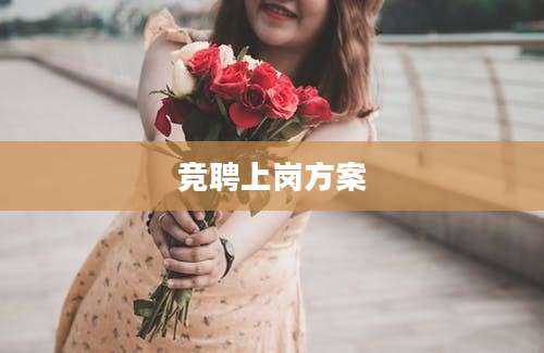 竞聘上岗方案
