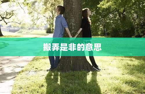 搬弄是非的意思