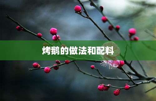烤鹅的做法和配料