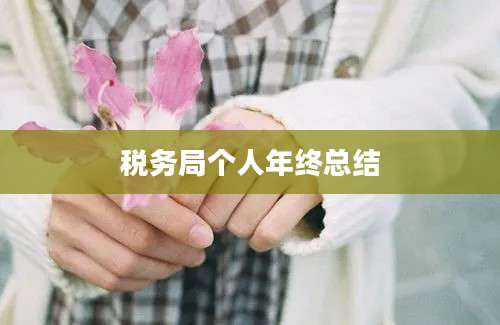税务局个人年终总结