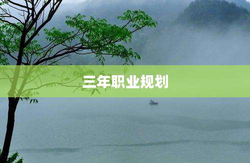 三年职业规划
