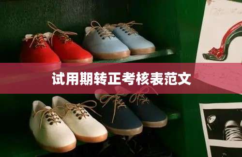 试用期转正考核表范文