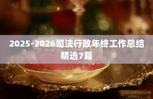 2025-2026司法行政年终工作总结精选7篇
