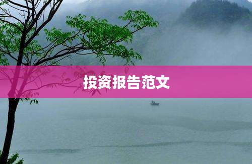 投资报告范文