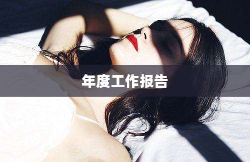 年度工作报告