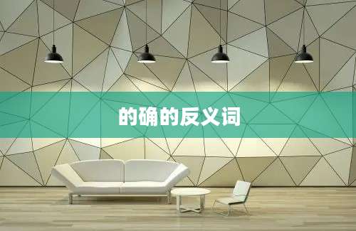 的确的反义词
