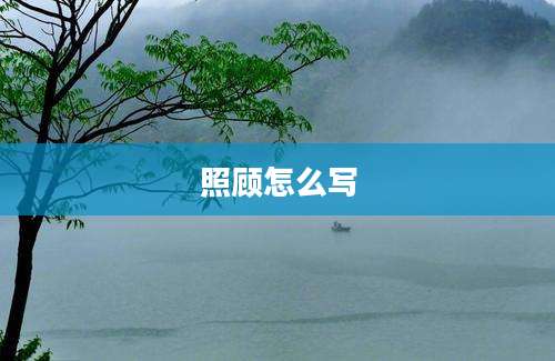 照顾怎么写