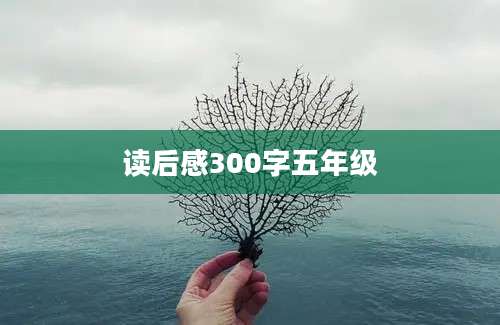 读后感300字五年级