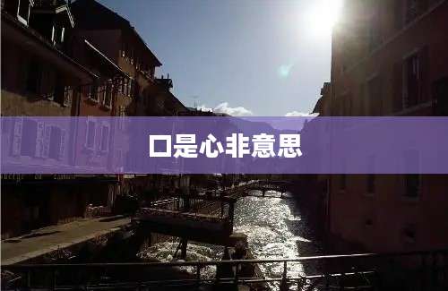 口是心非意思