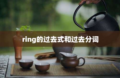 ring的过去式和过去分词