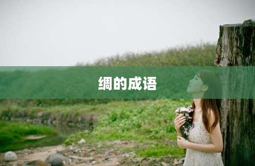 绸的成语