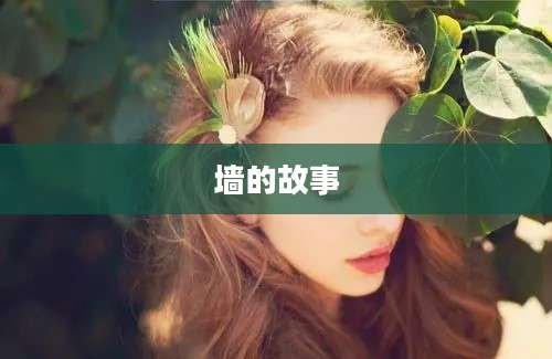 墙的故事