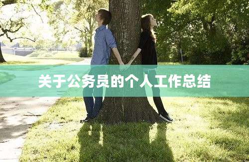 关于公务员的个人工作总结