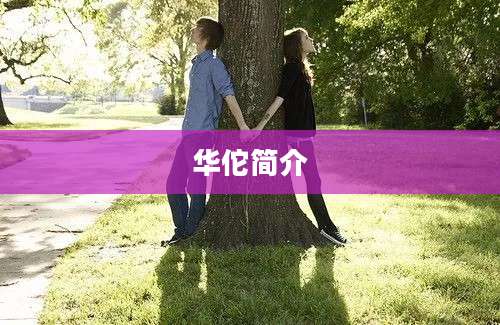 华佗简介