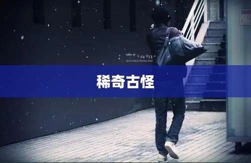 稀奇古怪
