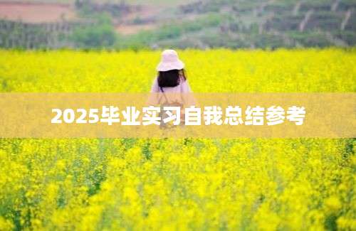 2025毕业实习自我总结参考