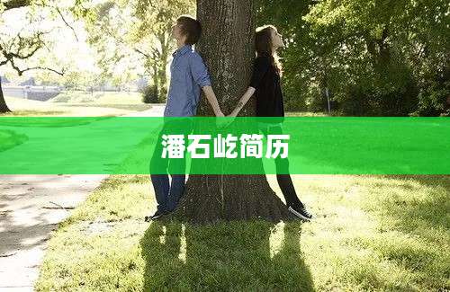 潘石屹简历