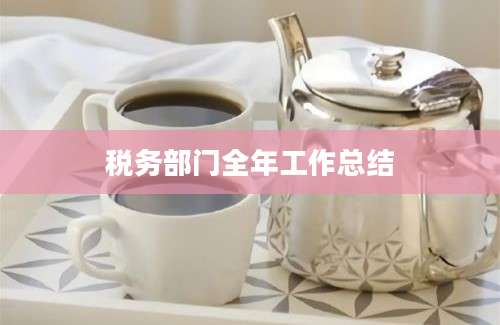税务部门全年工作总结