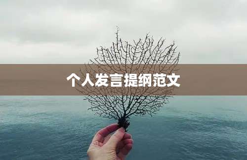 个人发言提纲范文