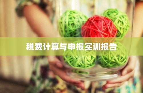 税费计算与申报实训报告