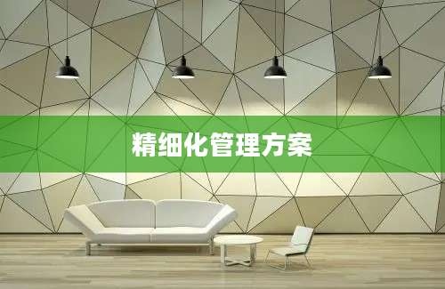 精细化管理方案