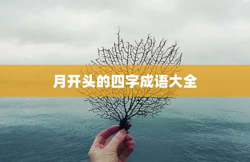 月开头的四字成语大全