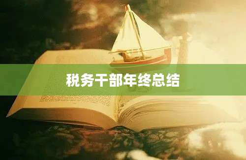 税务干部年终总结