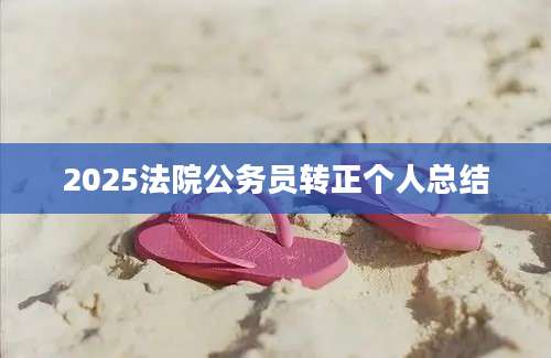 2025法院公务员转正个人总结
