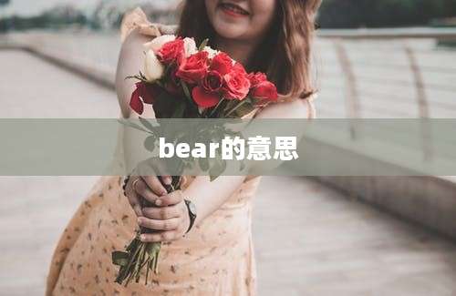 bear的意思