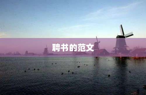 聘书的范文