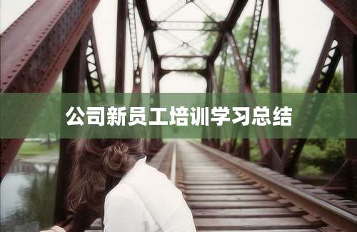 公司新员工培训学习总结
