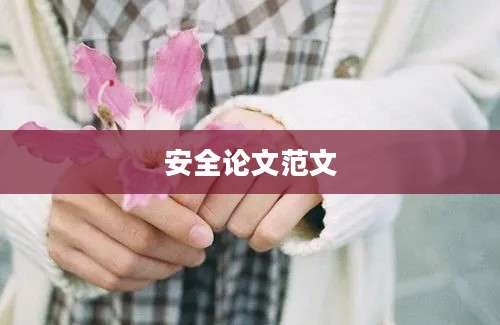 安全论文范文