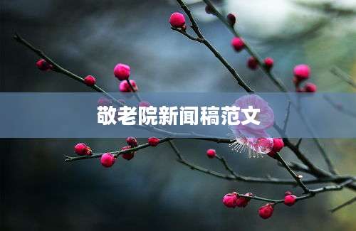 敬老院新闻稿范文