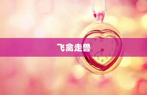 飞禽走兽