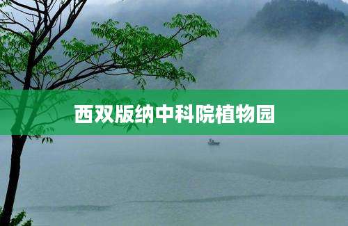 西双版纳中科院植物园