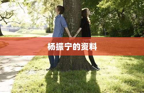 杨振宁的资料