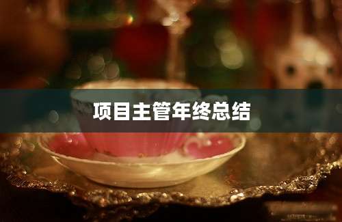 项目主管年终总结