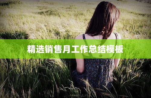 精选销售月工作总结模板