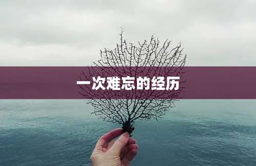 一次难忘的经历