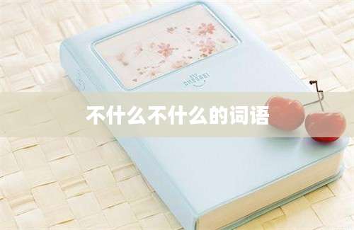 不什么不什么的词语